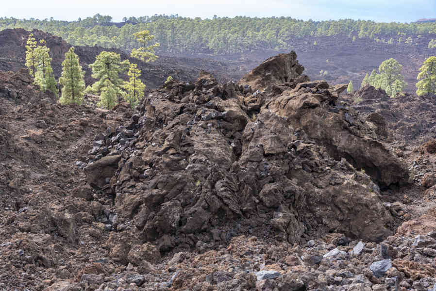 Tenerife 39 - parque nacional del Teide.jpg